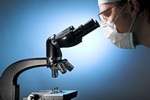 © Vasiliy Koval - Fotolia.com