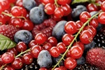 © Irina Fischer - Fotolia.com © Irina Fischer - Fotolia.com