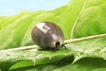 © Viktor - Fotolia.com