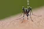 © mrfiza - Fotolia.com © mrfiza - Fotolia.com