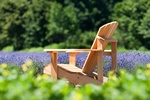 © mario beauregard - Fotolia.com