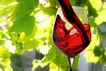 © Valery Bareta - Fotolia.com © Valery Bareta - Fotolia.com