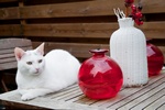 © Ivonne Wierink - Fotolia.com