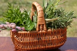 © Jörg Beuge - Fotolia.com